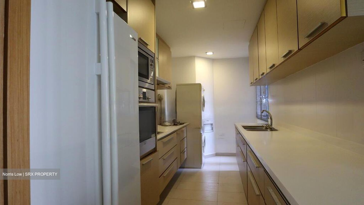 8 @ Mount Sophia (D9), Condominium #475900531